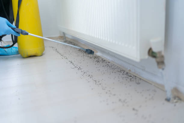 Reliable Goldenrod, FL Pest Control Solutions