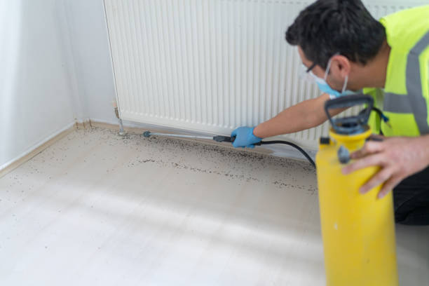 Best Pest Removal Services  in Goldenrod, FL